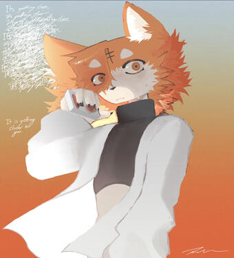 Ren Heat Abnormal